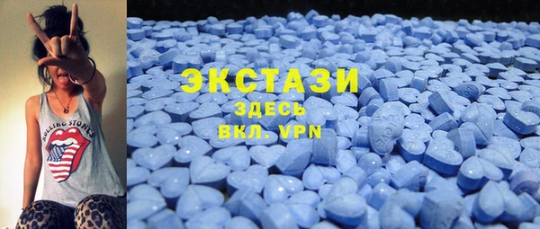 стаф Алзамай