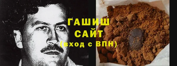 стаф Алзамай