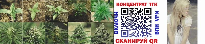 Купить закладки  Лесозаводск  Дистиллят ТГК THC oil 